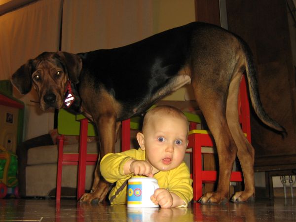 Pod brzuchem