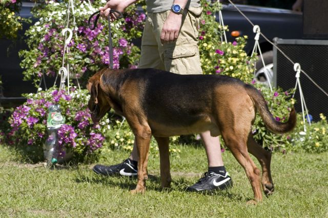 DOD_050610_041.jpg