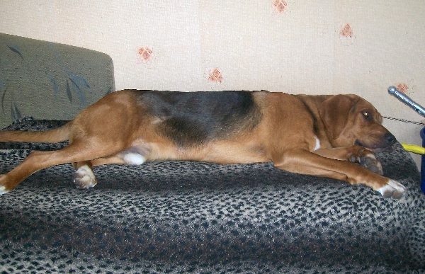 Obraz 001.jpg