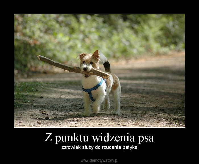 I takie życiowe =)