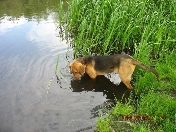 małe pływanko.jpg