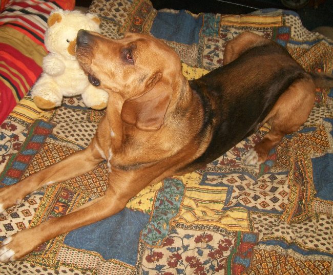 Obraz 001.jpg