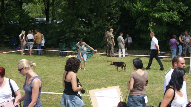 DSC02885.JPG