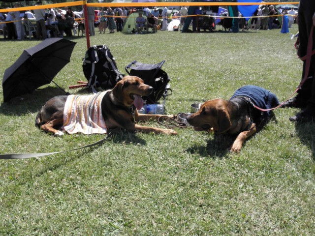 P7100406 [640x480].JPG
