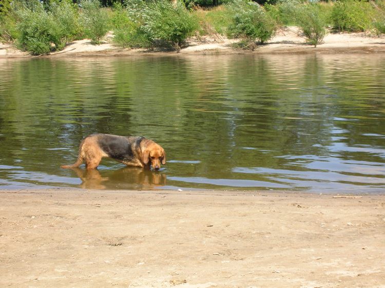 DSCN4519.JPG