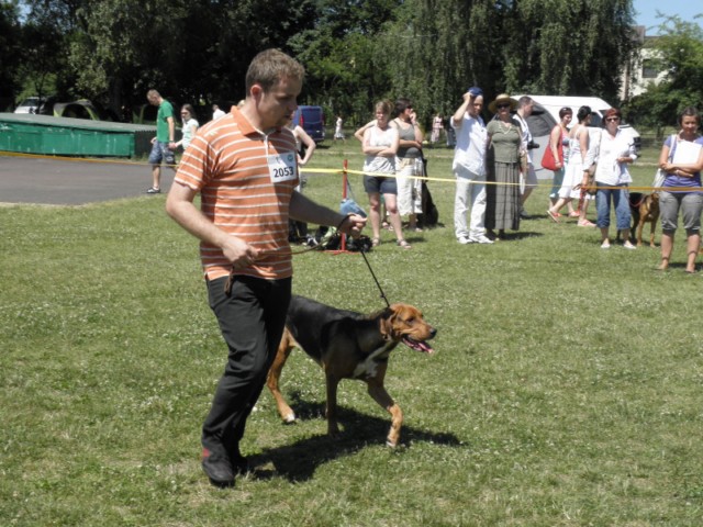 P7100450 [640x480].JPG