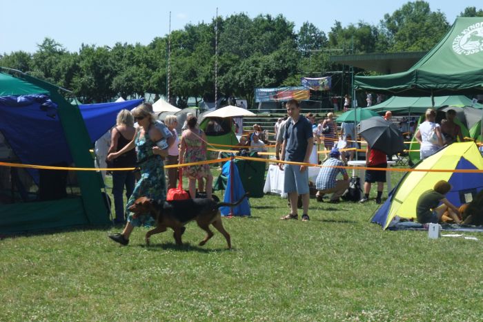 młodzież SMYK