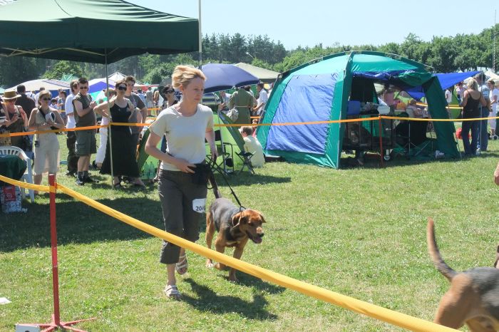 otwarta ORZEŁ