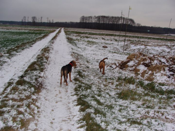 podlaska dal i taka fajna kupka....JPG