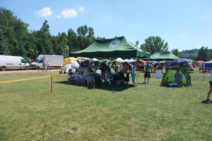 NUTKA, HUBA przegląd zębów