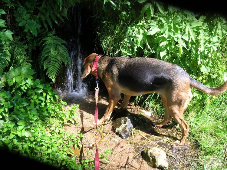 DSCN4430.JPG