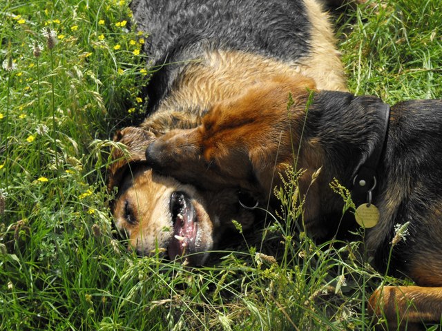 DSCF5048.JPG