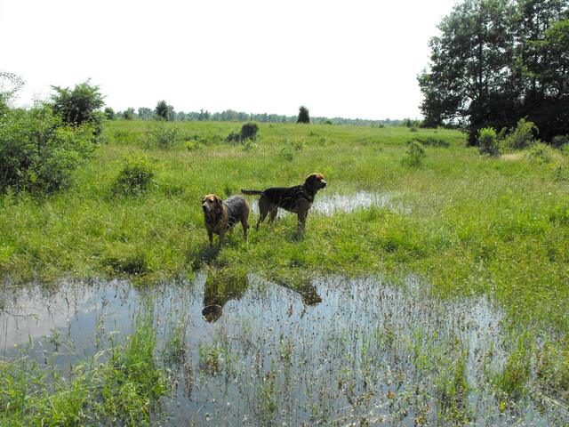 DSCF5072.JPG