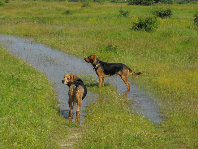 DSCF5079.JPG