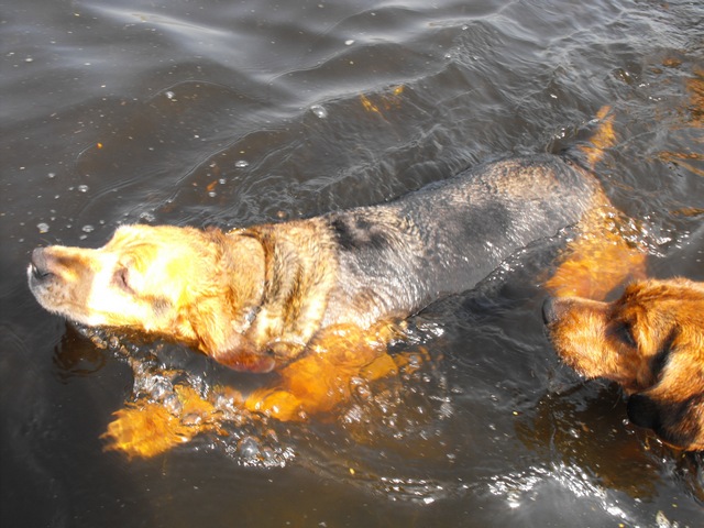 DSCF5082.JPG