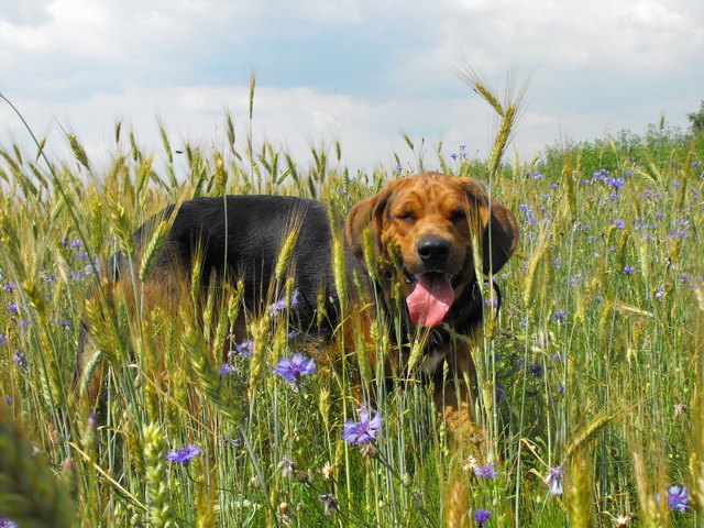 DSCF5020.JPG