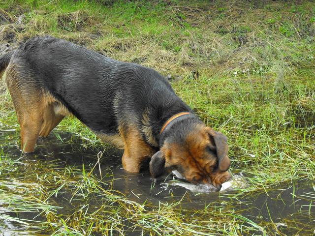 DSCF5029.JPG