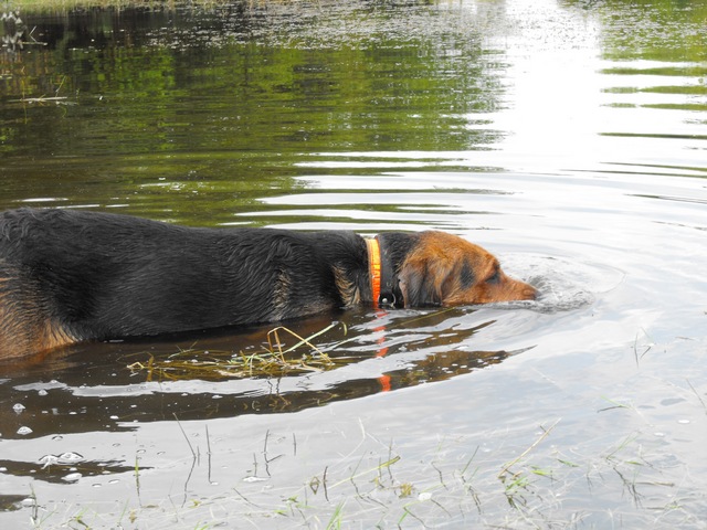 DSCF5032.JPG