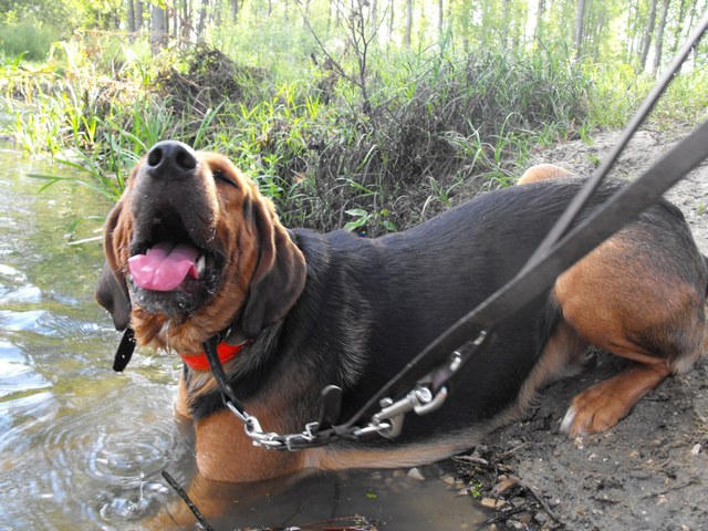 DSCF5049.JPG