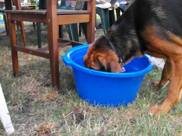 DSCF5053.JPG