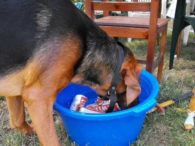 DSCF5050.JPG