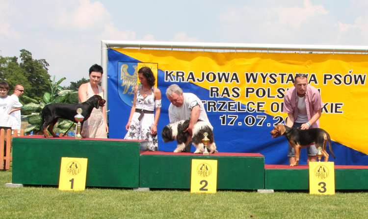 strzelce opolskie 17-07-2010 326.jpg