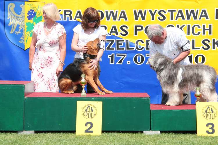 strzelce opolskie 17-07-2010 403.jpg
