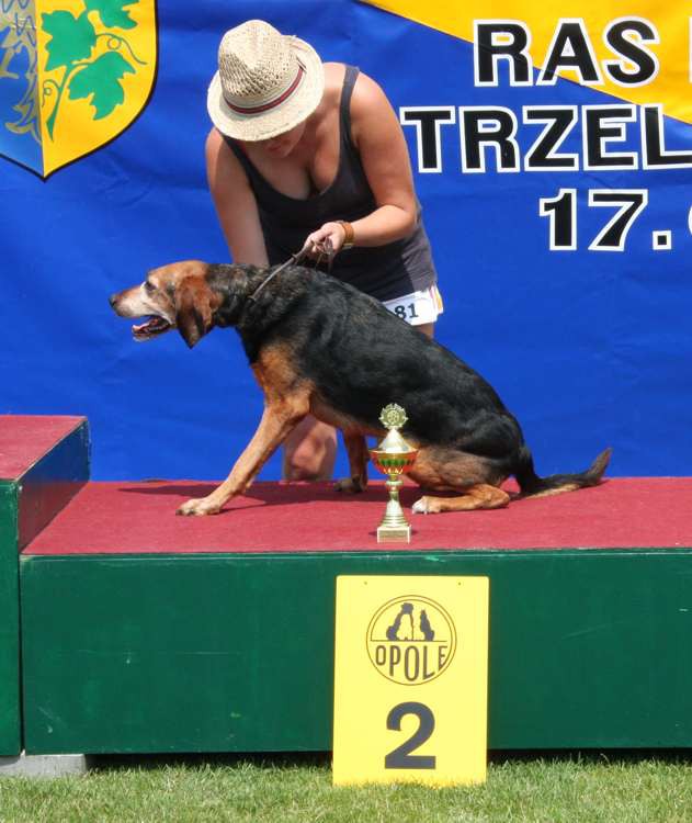 strzelce opolskie 17-07-2010 427.jpg