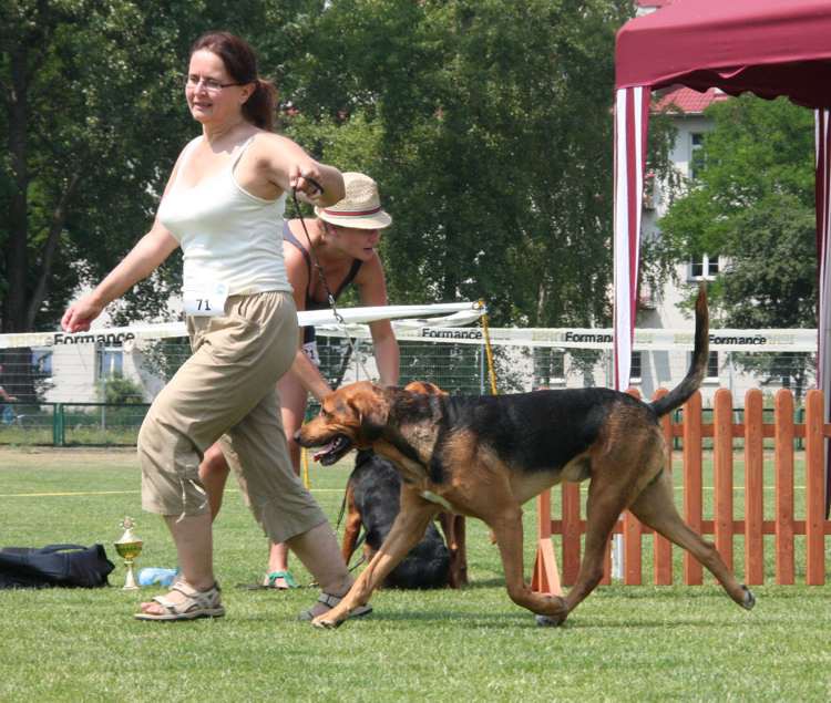 strzelce opolskie 17-07-2010 448.jpg