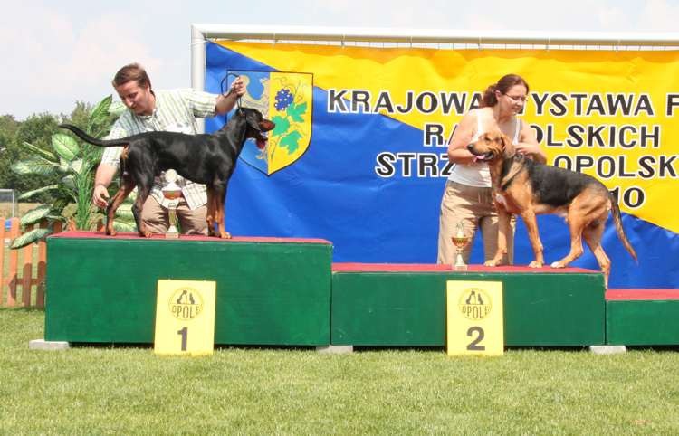 strzelce opolskie 17-07-2010 463.jpg
