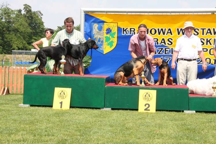 strzelce opolskie 17-07-2010 490.jpg