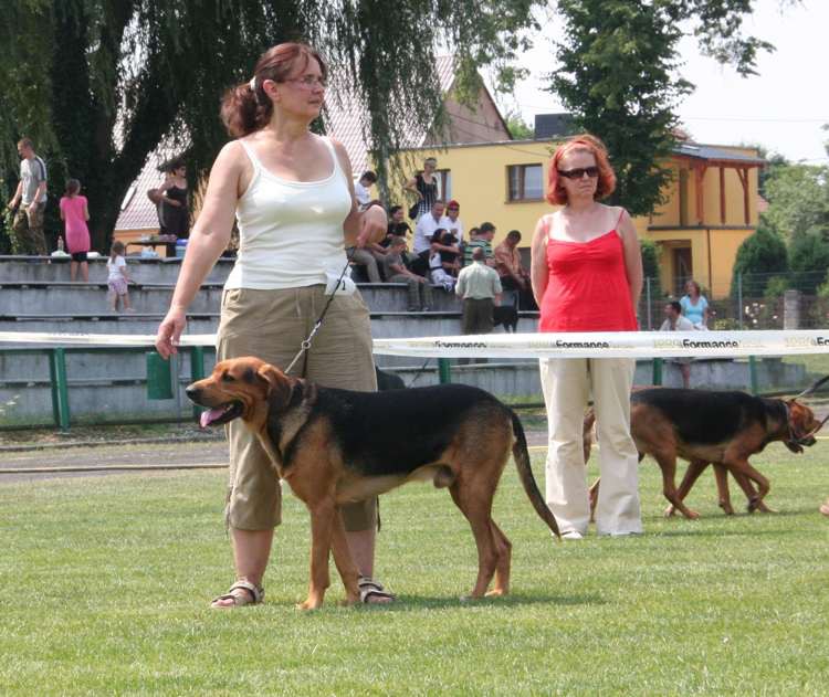 strzelce opolskie 17-07-2010 513.jpg