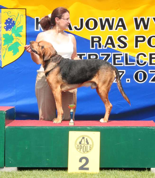 strzelce opolskie 17-07-2010 515.jpg