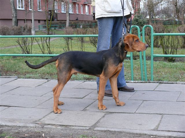 amon5m  m022.jpg