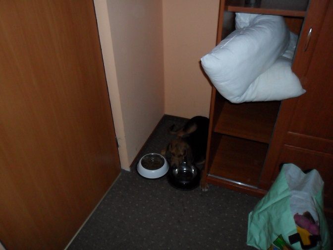 SAM_0053.JPG