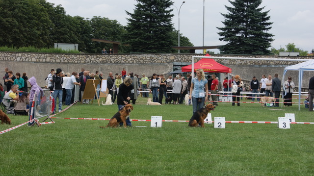 DSC03741.JPG