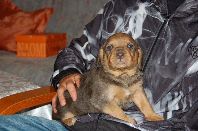 DSC_2512.JPG