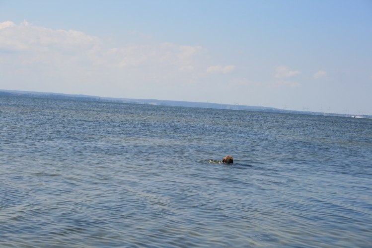 IMG_0752.JPG