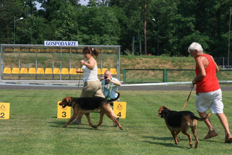 biegnij Dana biegnij....