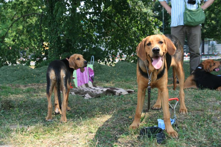 Bursztyn - modelem to trza się urodzić ;), Dusia obserwuje może i ona modelką zostanie...