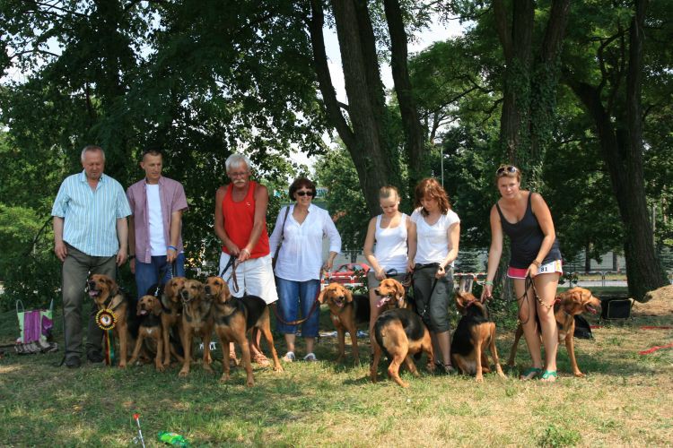 prawie zgrane towarzystwo
