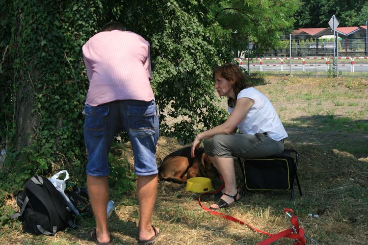 chłopie jak myślisz, on da radę w ten upał??? a może jeszcze &quot;setkę&quot; mu polać???<br />Nawiasem mówiąc, Ludwiku masz fajną........................................................koszulę :)