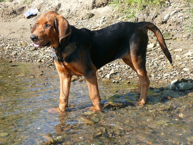 Nad rzeką.