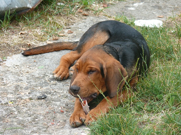 Coś dobrego.