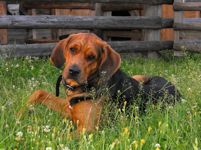 DSCF5138.JPG