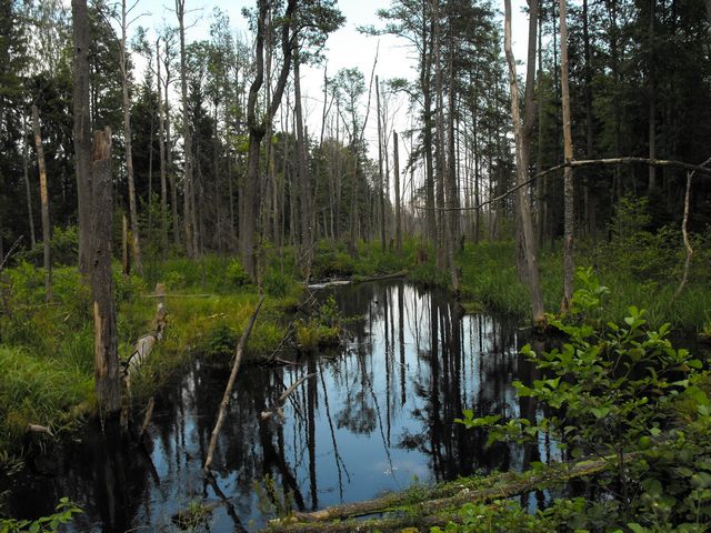 DSCF5200.JPG