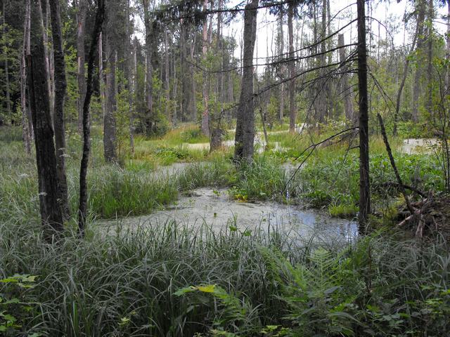 DSCF5210.JPG