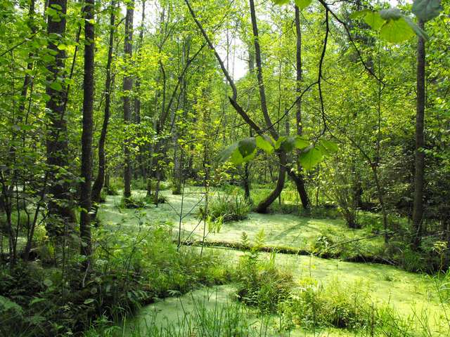 DSCF5682.JPG