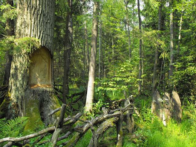 DSCF5683.JPG