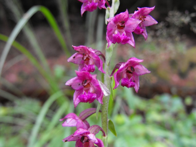 DSCF5066.JPG